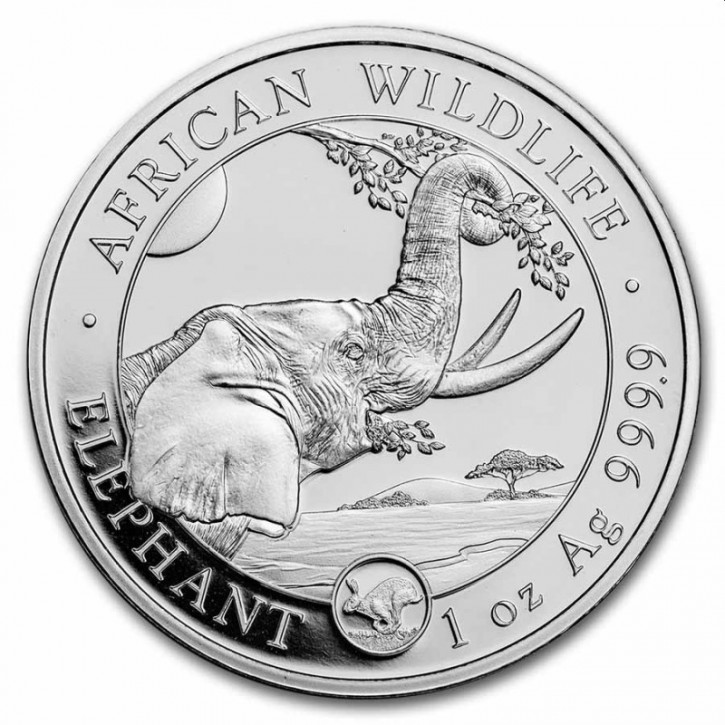 1 oz Silber Somalia Elefant " Year of the Rabbit 2023 / Privy Hase "  ( inkl. gültiger gesetzl. Mwst ) - max 5.000 Stk