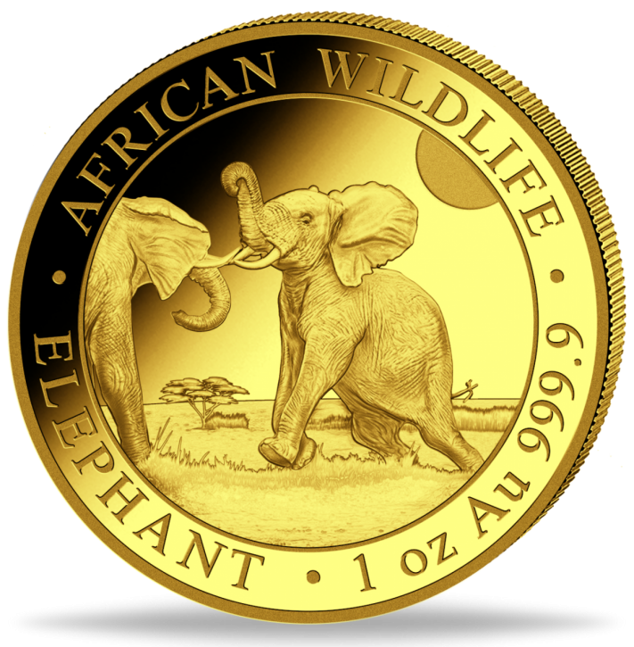 1 oz Gold Somalia Elefant 2024 in Kapsel