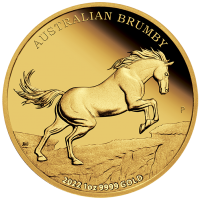 1 oz Gold Proof Perth Mint " Brumby 2022 "  inkl. Box / COA - max. 250 Stk