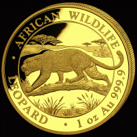 1 oz Gold Somalia Leopard 2026 in Kapsel - max. 1000