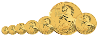 2 oz Gold Perth Mint Lunar 2026 Pferd / Horse in Original-Kapsel Australien / Australia aktuell mit Charles Effigy