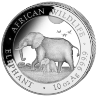 10 oz Silber Somalia Elefant 2022 ( diff.besteuert nach §25a UStG )