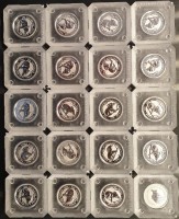 20 X 1/10 oz Platin Koala 1996 in Originalkapsel " ZUSAMMENHÄNGEND " wie verausgabt ( inkl. gesetzl. Mwst )