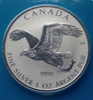1 oz Silber Reverse Proof Canada Birds of Prey " Bald Eagle " 2017 ( diff.besteuert nach §25a UStG )