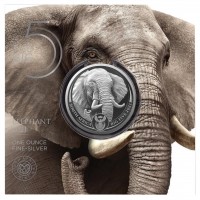 1 oz Silber Elephant / Elefant in Blister " Big Five " South African Mint / 2te Serie - max 15.000 ( diff.besteuert nach §25a UStG )