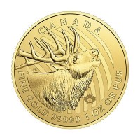 1 oz Gold 99999 Canada Rothirsch 2017 / Bulking Elk in Blister / inkl. Sicherheitsmerkmal