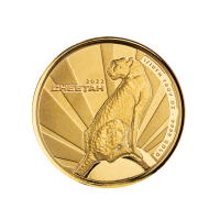 1/10 oz Prooflike Gold Kamerun Cheetah / Gepard 2022 Scottsdale Mint - max. 1000 Stück