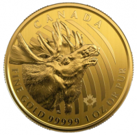 1 oz Gold 99999 Canada 2019 Elch / Moose in Blister / inkl. Sicherheitsmerkmal