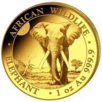 1 oz Gold Somalia Elefant " 2025 " in Kapsel