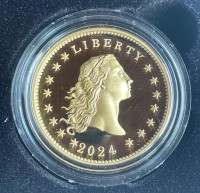 1 oz Gold USA High Relief Liberty 2024 " FLOWING HAIR " inkl. Box / COA