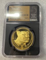 1 oz Gold Leopard 2023 Proof PF70 NGC First Day of Issue " Big Five " South African Mint - max 500 / 2te Serie Big Five