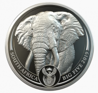 1 oz Platin Proof Big Five Elefant / Elephant 2019 inkl. Box / COA / ERSTE SERIE - max. 500  ( inkl. gesetzl. Mwst )