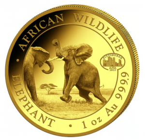 1 oz Gold Somalia Elefant " Pittsburgh 2023 " inkl. COA / BOX- max. Auflage 100