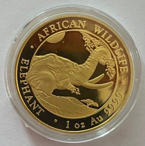 1 oz Gold Somalia Elefant " div. Jahre / vorrangig 2021 " in Kapsel