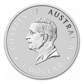 1 oz Silber Australien Schwan " 2024 " - in Kapsel / Charles III Effigy ( diff.besteuert nach §25a UStG )