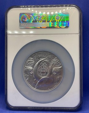 5 oz Silber MS70 Buffalo / Büffel Slab " Big Five " South African Mint - max 500 inkl. Box für den Slab und LEERBOX der South African Mint