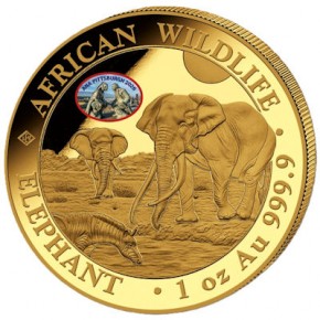 1 oz Gold Somalia Elefant Privy ANA Pittsburgh 2026 in Kapsel und Box/COA - max. 100