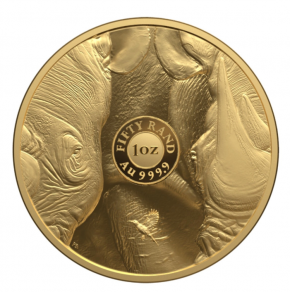 1 oz Gold " Big Five " Rhino / Nashorn 2025 inkl. der Box South African Mint und COA ( max. 500 Stk )
