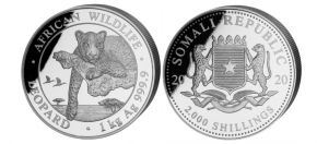 1 Kilogramm / 1000 Gramm Silber Somalia Leopard 2020 in Kapsel - max. 500  ( diff.besteuert nach §25a UStG )