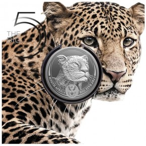 1 oz Silber Leopard 2023 in Blister " Big Five Series II " South African Mint - max 15.000 ( diff.besteuert nach §25a UStG )