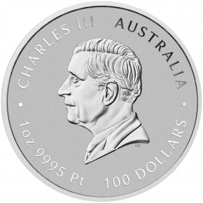 1 oz Platin Perth Mint Lunar COLOR / FARBE 2026 Pferd / Horse in Original-Kapsel - max. 888 Stück