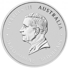 1 Kilogramm / 1000 Gramm Silber Perth Mint Schlange / Snake 2025 in Kapsel mit Charles III Effigy ( diff.besteuert nach §25a UStG )